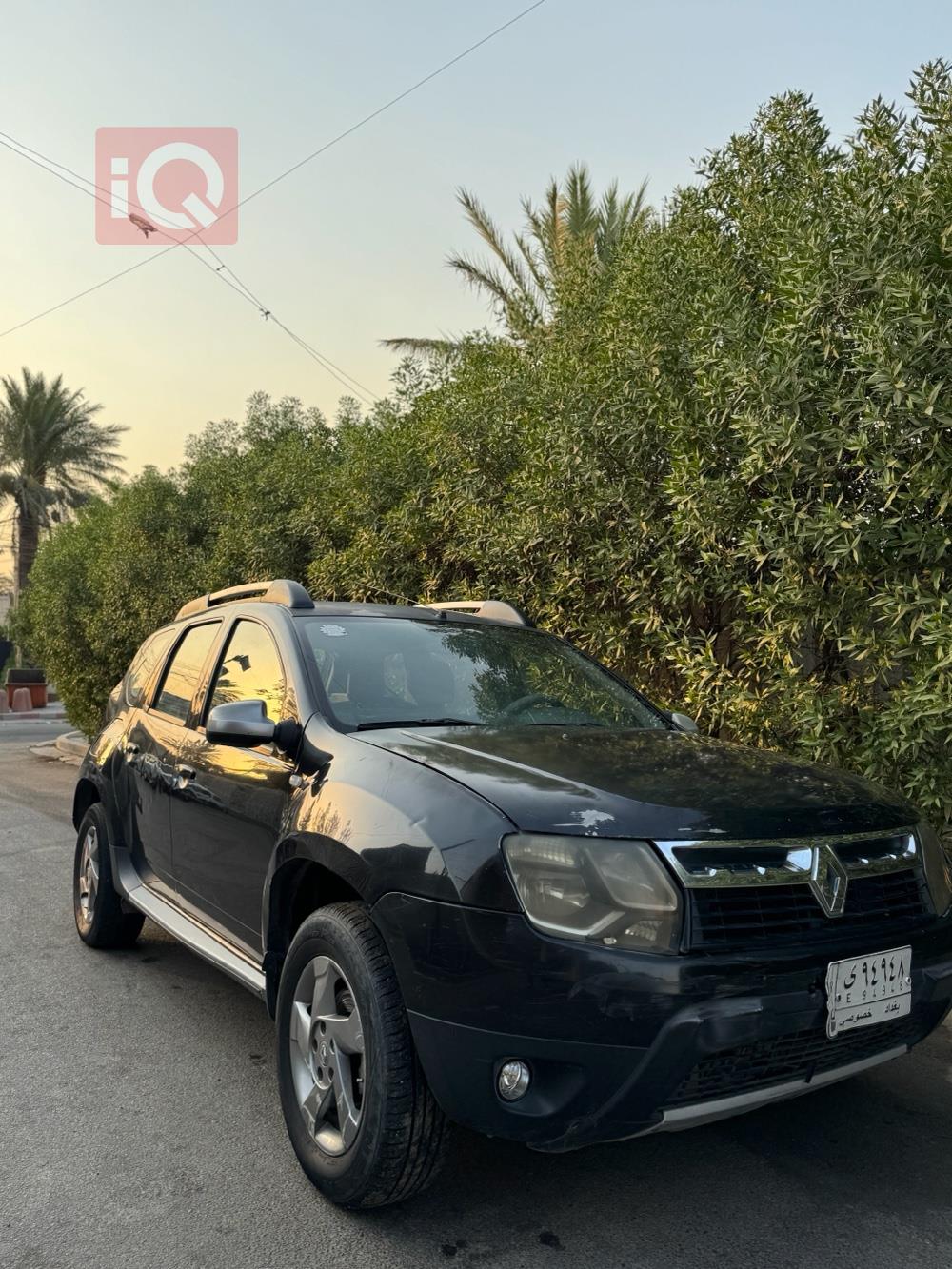 رينو داستر